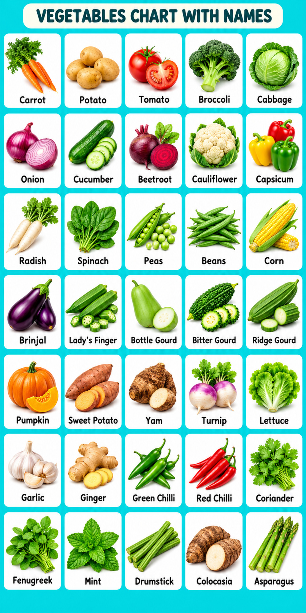 Vegetable with Pictures Vegetable with Pictures