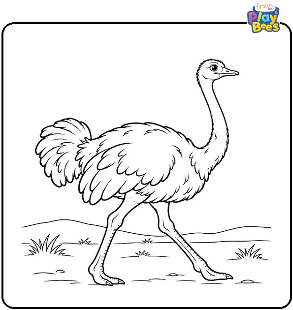Walking-Ostrich-Coloring-Page